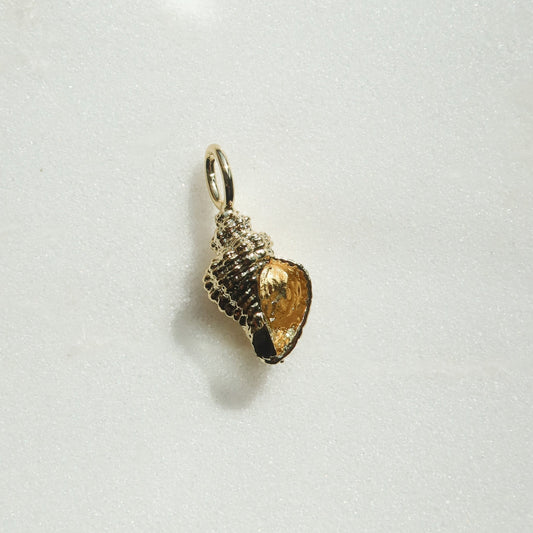 Conch Shell Charm