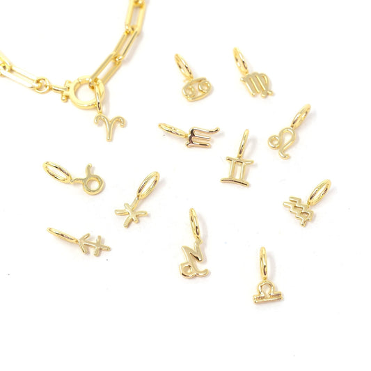 Zodiac Charm