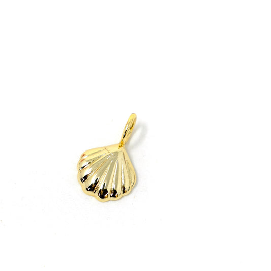 Seashell Charm